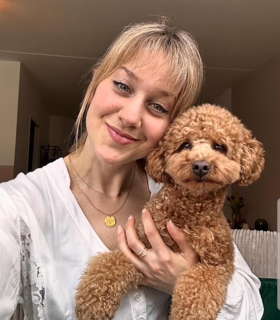 Poodle rescue australia